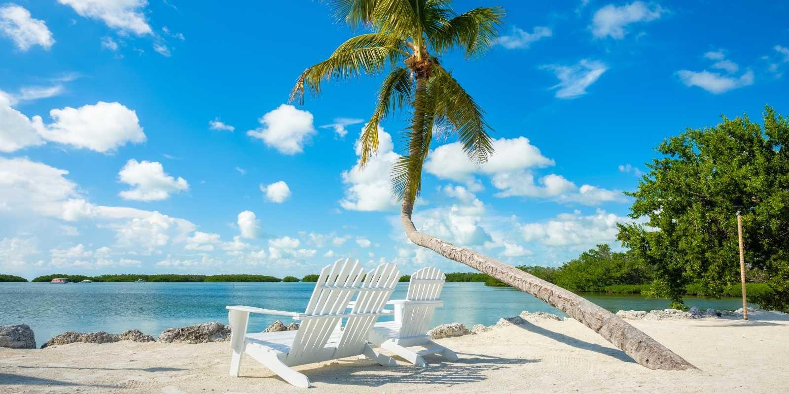 Más allá de las playas: Descubre los nichos inmobiliarios emergentes en Miami con alta rentabilidad en 2024.